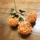 gradient_tint_hydrangea_stem_detail_shot