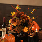 Terracotta orange rose closeup in dark halloween flower set