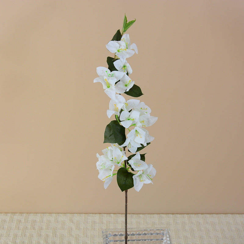 tangerine_bougainvillea_sprig