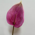 speckled‑pink‑fake‑anthurium‑bloom‑unique‑floral‑piece