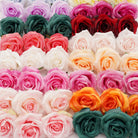 Colorful rose heads collection for wedding flower supplies