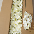 Royal Blue Fake Silk Orchid Party Decoration
