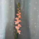 artificial_gladiolus_buds