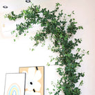 fake money leaf vine wedding backdrop greenery
