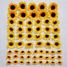 sunflower_head_size_measurement