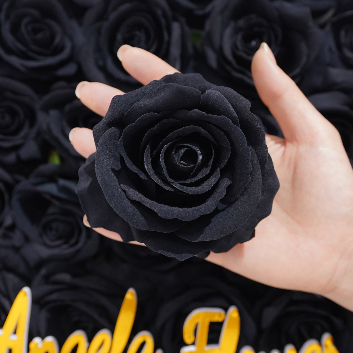 Dark black rose bloom top view product photograph