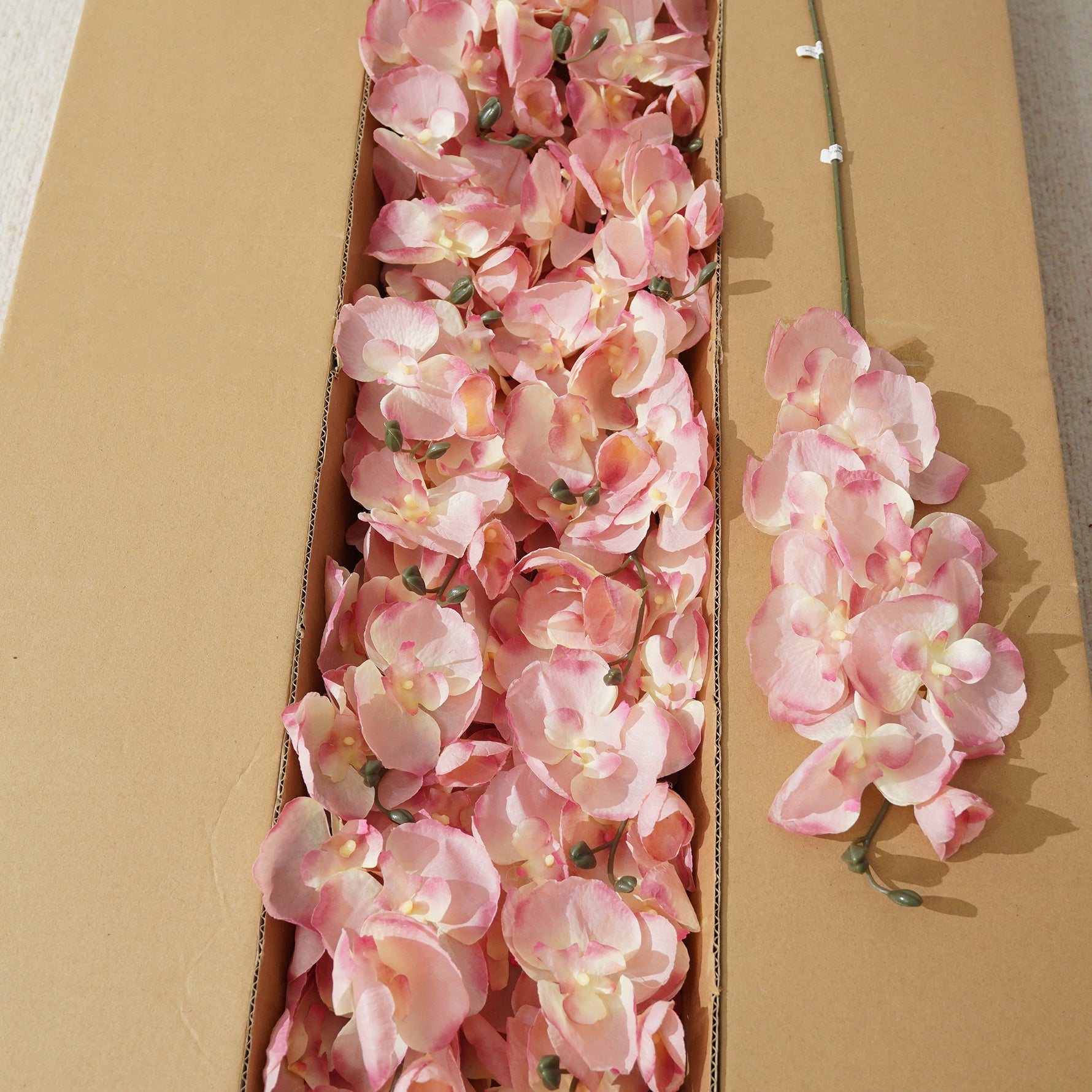 Blush Nude Artificial Silk Phalaenopsis Orchid