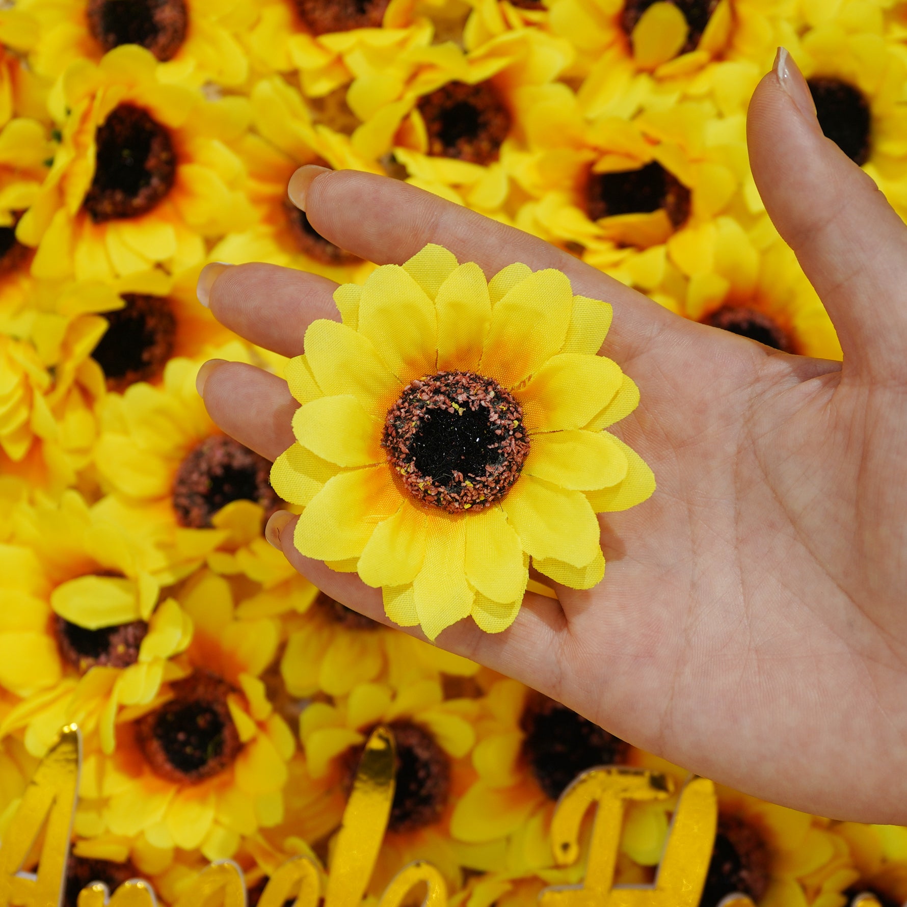 box_packed_sunflower_flower_heads