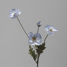 blue_silk_poppy_single_stem