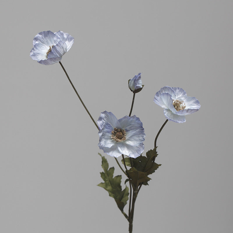 blue_silk_poppy_single_stem