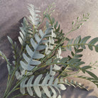 Cream faux locust leaves for romantic floral design