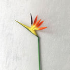 pastel_mixed_faux_bird_of_paradise