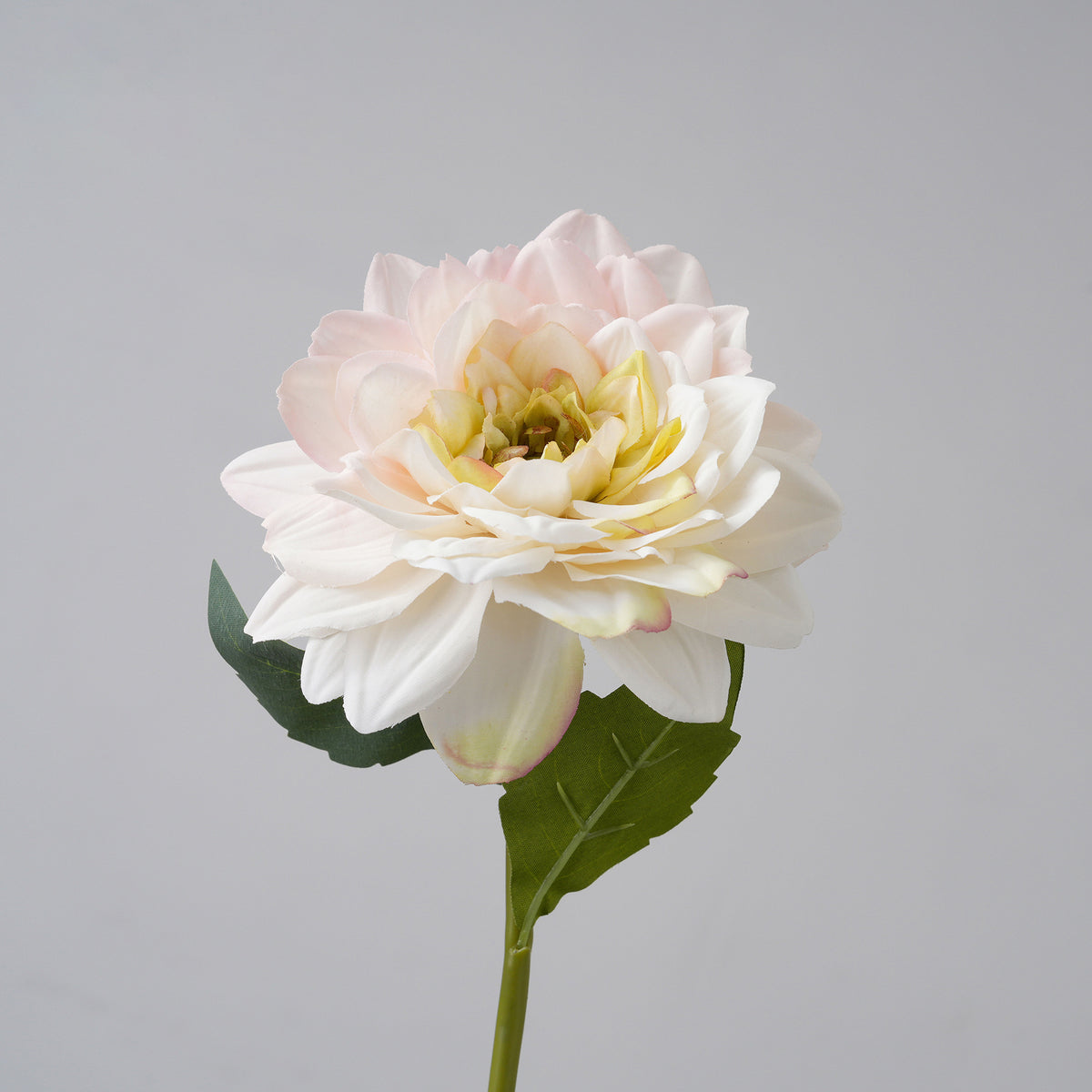 realistic_silk_dahlia_head_macro