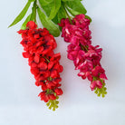 studio_shot_assorted_delphinium_set