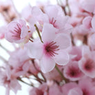 pink_plum_artificial_vase_scene