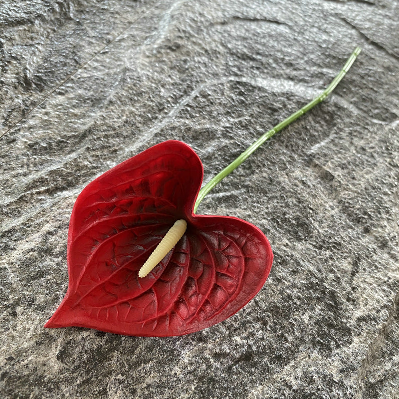 assorted_anthurium_on_stone_backdrop