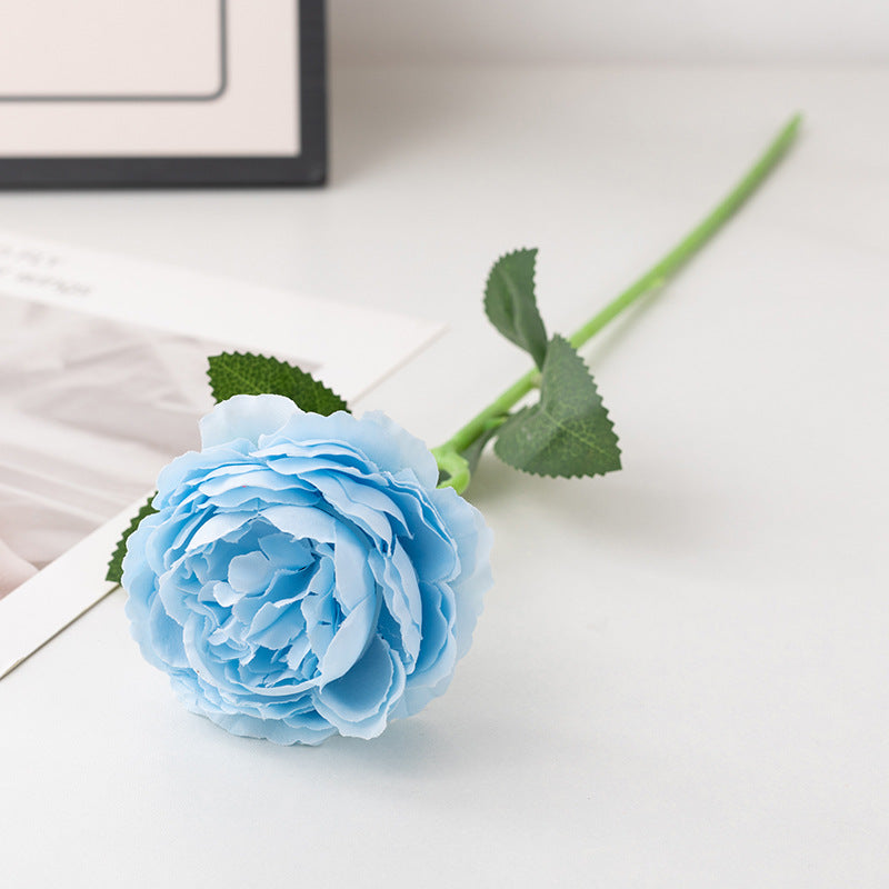 clean_white_backdrop_rose_assortment