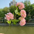 pastel_pink_hydrangea_lakeside_lifestyle