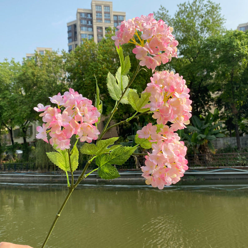 pastel_pink_hydrangea_lakeside_lifestyle