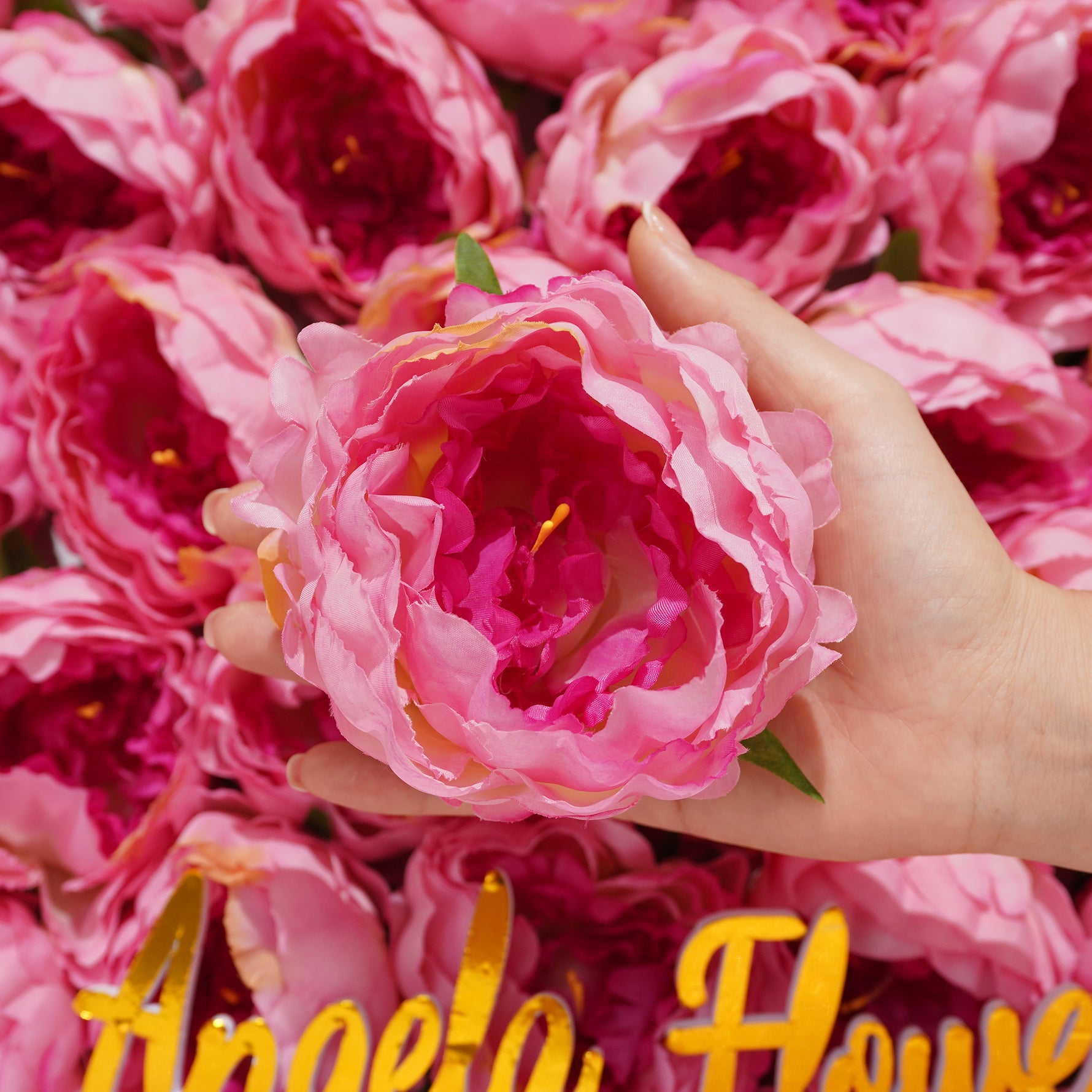 colorful-rose-flower-collection