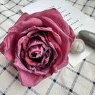 pale-lime-red-dried-style-rose-head
