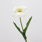 peach_clematis_solo_bloom_stem