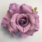 warm_coral_gradient_rose_bloom