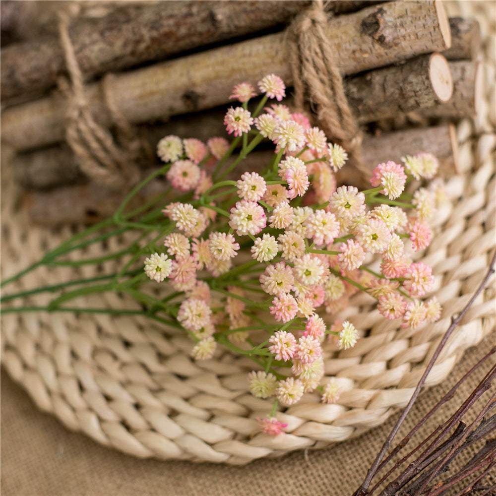 vibrant_pink_gypsophila_stem_closeup