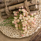vibrant_pink_gypsophila_stem_closeup