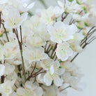 full_bloom_white_plum_branch_setup