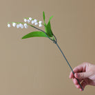 lily_of_valley_leaf_and_blossom_detail