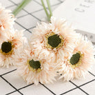 pure_white_frilled_gerbera_isolated