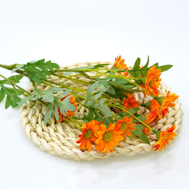 fake_chrysanthemum_color_variety