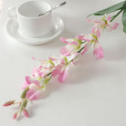 softpastel_dendrobium_assort_collection