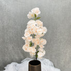 single_cherry_blossom_size_diagram