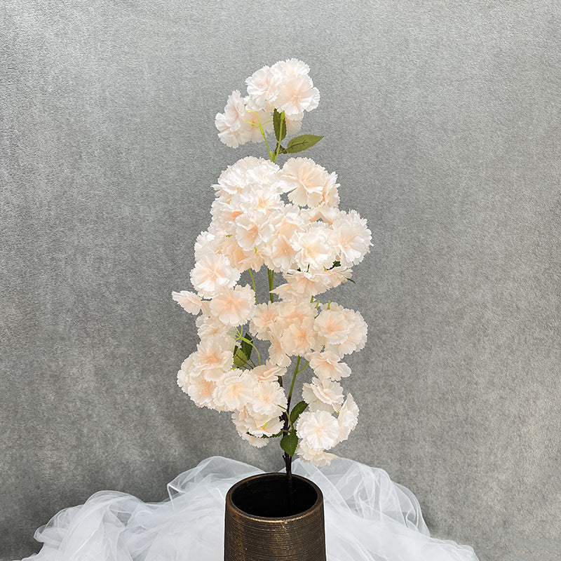 single_cherry_blossom_size_diagram