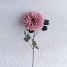 multi_color_globe_chrysanthemum_bouquet_shot