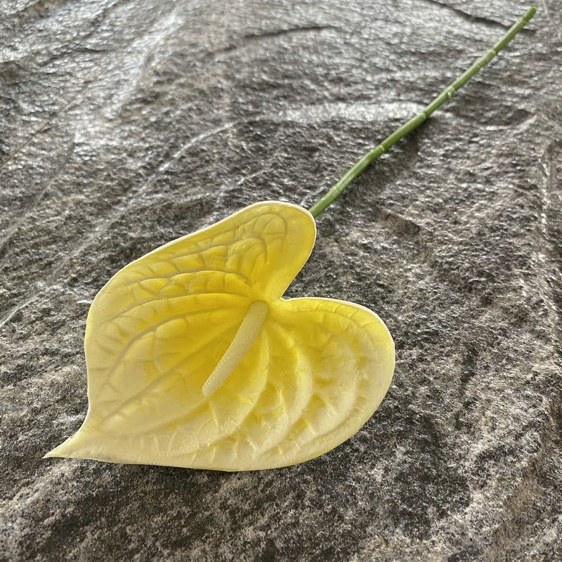 ocean_blue_palm_heart_stem