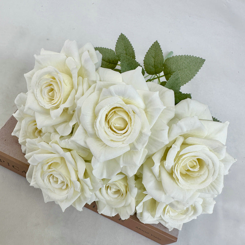 offwhite_rose_bloom_cluster