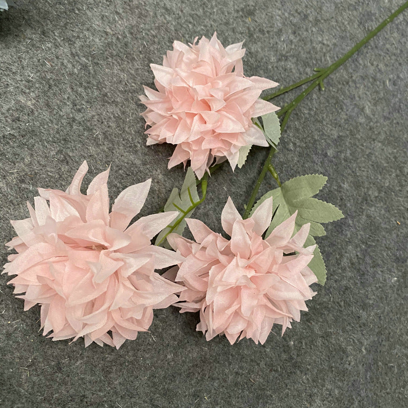 mixed_hue_dahlia_studio_bouquet