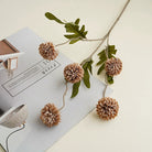 apricot_simulation_pompom_arrangement