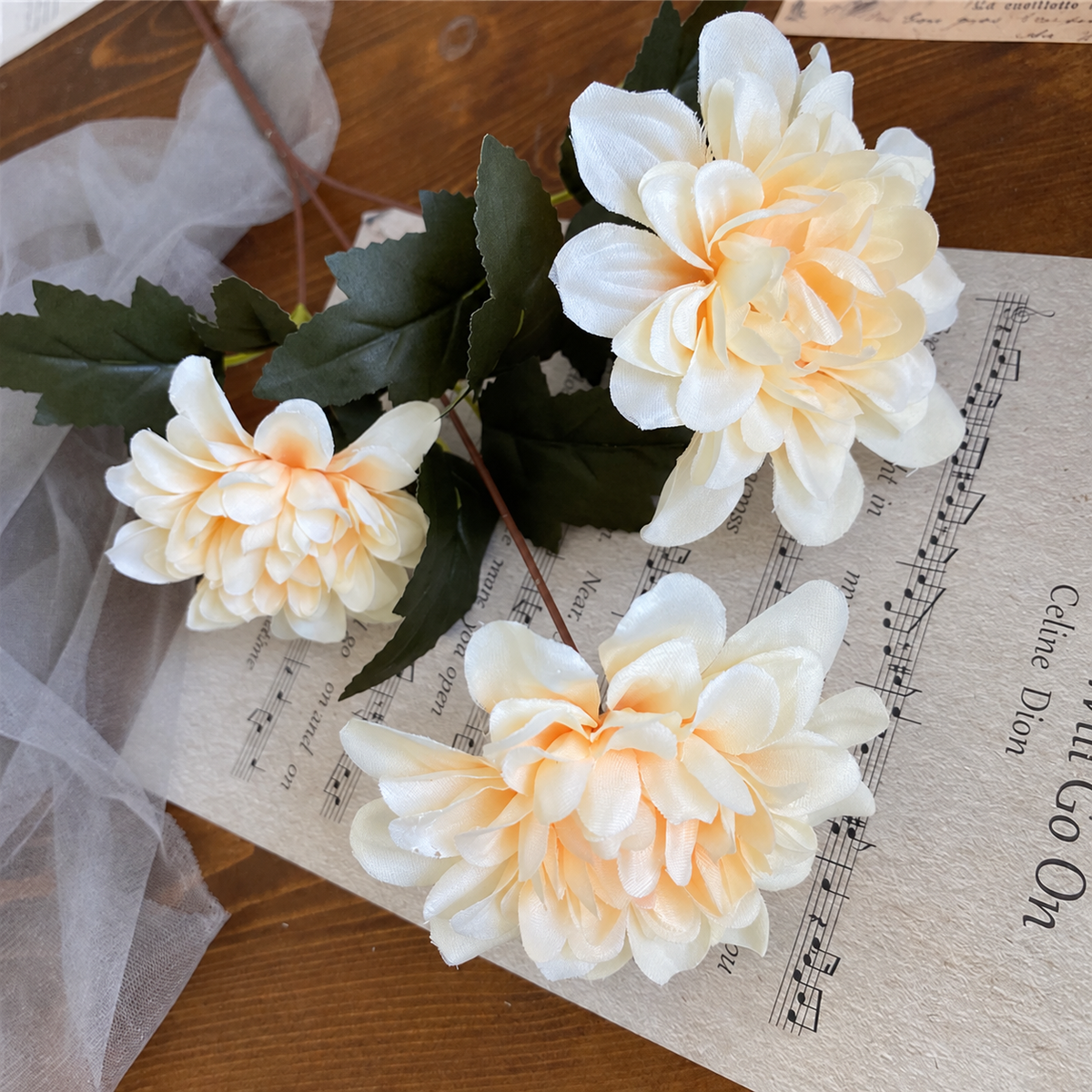 dahlia_white_table_shot