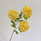 mixed_hydrangea_stems_flat_lay_view