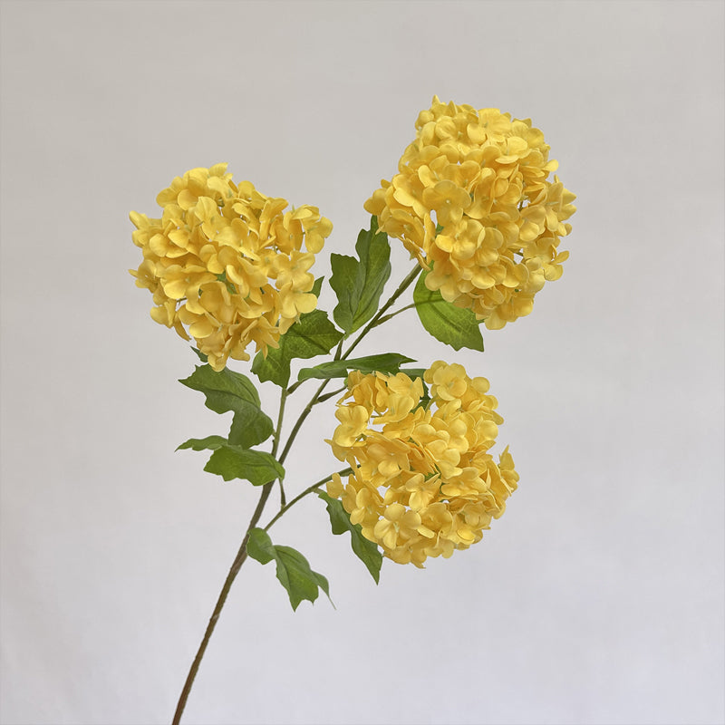 mixed_hydrangea_stems_flat_lay_view