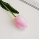 loose_stems_multitone_tulip_collection