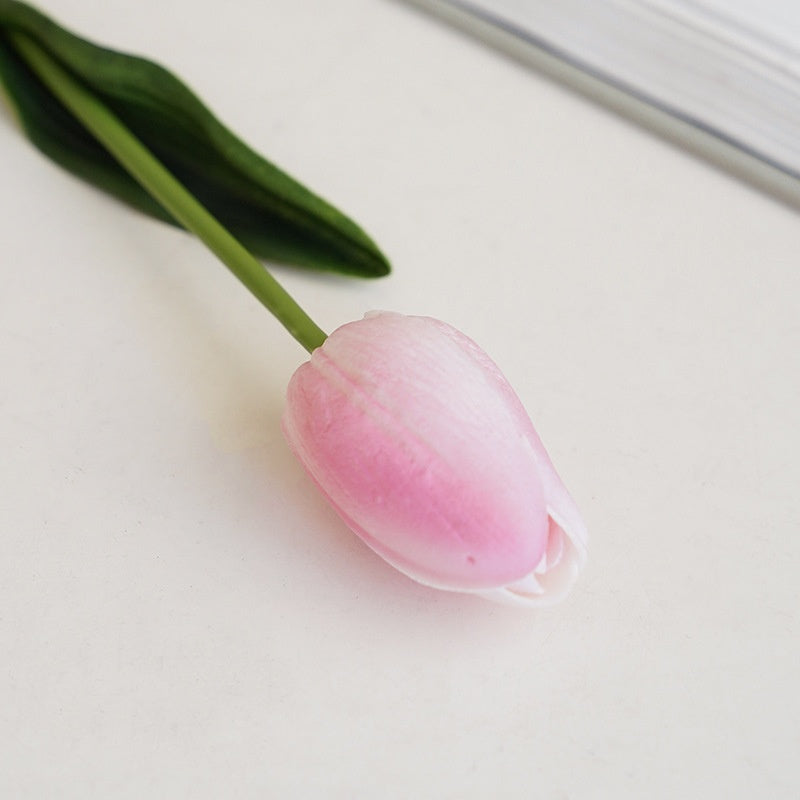 loose_stems_multitone_tulip_collection