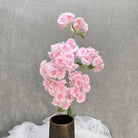 delicate_cherry_blossom_flower_cluster