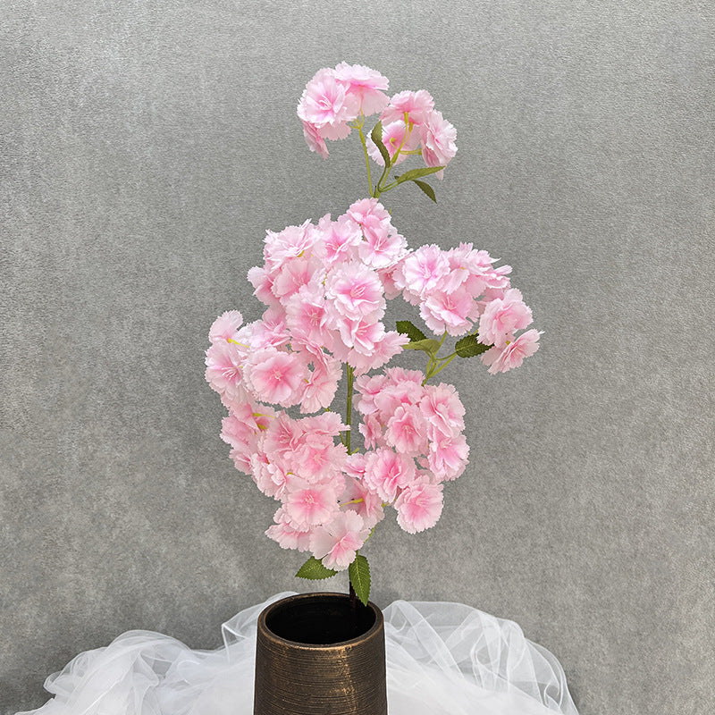 delicate_cherry_blossom_flower_cluster