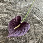 sky_blue_artificial_anthurium_stem