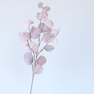 bulk_eucalyptus_sprigs_floral_supply